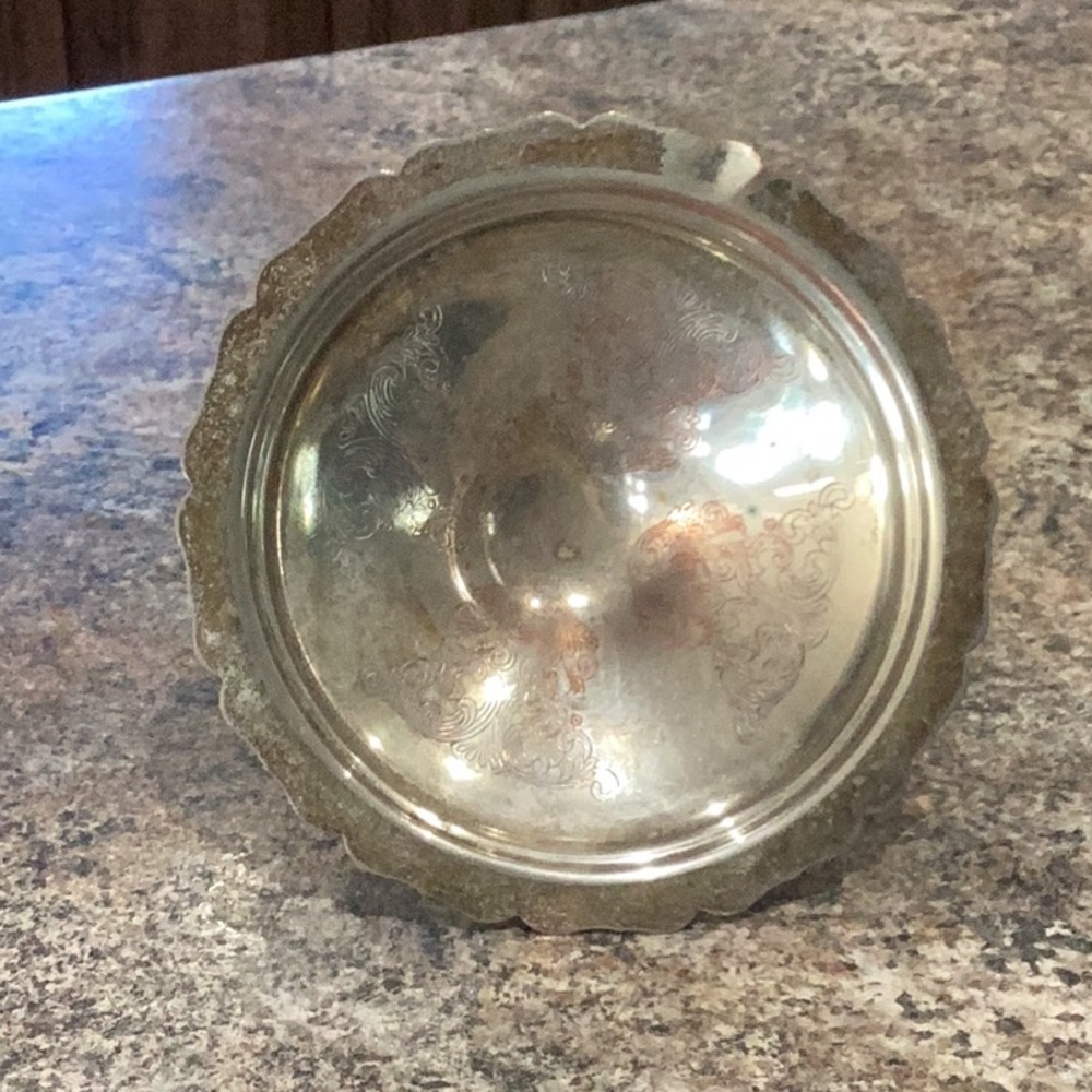 Elegant Silver Bowl